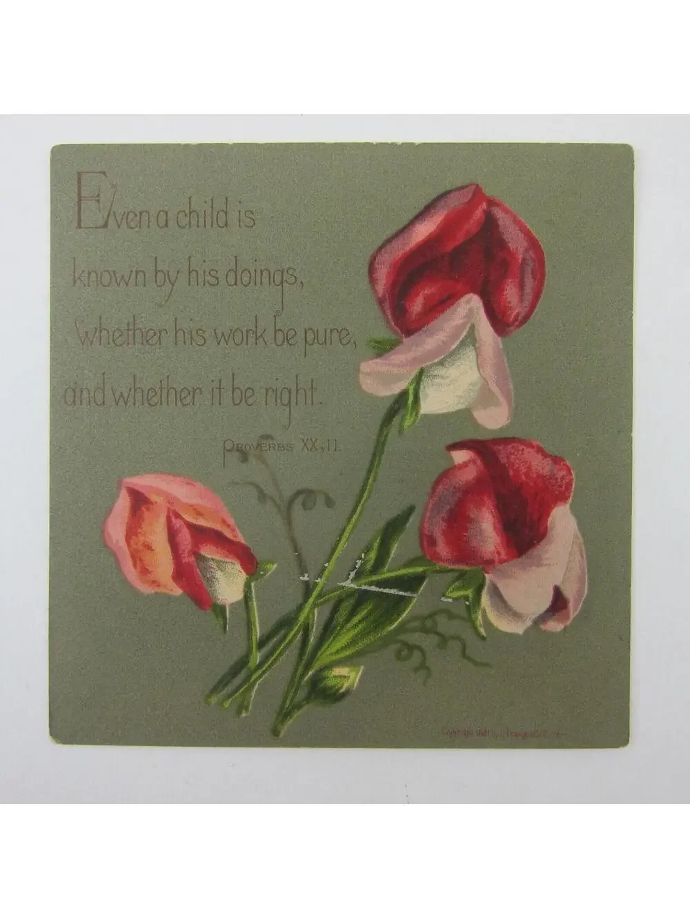 Victorian Greeting Card Proverbs Child Green Red & Pink Flowers Antique 1881